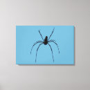 Recherche de araignee art Toile