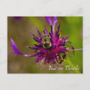 Recherche de abeille cartes postales Jardin