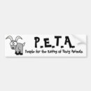 Recherche de peta maison deco Pare chocs