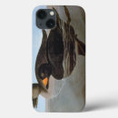 Recherche de james ipad coques Oiseaux d'amérique
