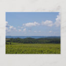 Zoek naar olds briefkaarten Stad