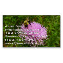 Recherche de chardon cartes visite Fleur sauvage