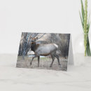 Recherche de élan vœux cartes Wapiti