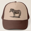 Recherche de zèbres casquettes L'afrique