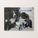 Recherche de border collie puzzles Chiens