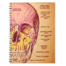 Recherche de anatomie carnets École