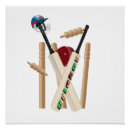 Recherche de cricket art Balle
