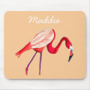 Recherche de flamand tapis souris Oiseaux