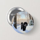 Recherche de portugais badges Chien marin portugais