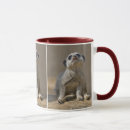 Recherche de suricate tasses Animal