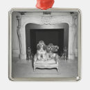Recherche de caniche noir ornements Noir et blanc