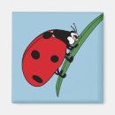 Recherche de coccinelle rose magnets Insecte