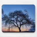 Recherche de coucher soleil tapis souris Nature