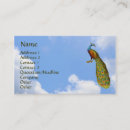 Recherche de peacock cartes visite Nature