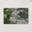 Recherche de fleurs blanches cartes visite Floral
