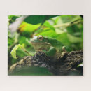 Recherche de grenouille puzzles Faune