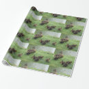 Recherche de caneton papier cadeau Animal