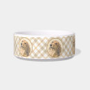 Recherche de chien de blaireau Dachshund