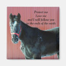Recherche de pouliches magnets Chevaux