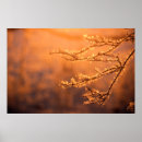 Recherche de givré posters Pour tous