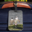 Recherche de zoo bagages étiquettes Animaux