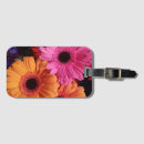 Recherche de gerber accessoires Coloré