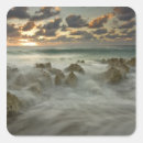 Recherche de caïman autocollants Mer