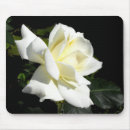 Recherche de hybride tapis souris Rose