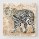 Zoek naar katachtige katten klokken Luipaard