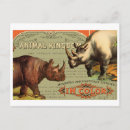 Recherche de rhinoceros cartes postales Pour tous