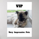 Recherche de chat mignon posters Peinture murale