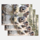 Recherche de koala papier cadeau Porter