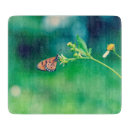 Recherche de beaux papillons planches à découper Fleur