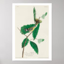 Zoek naar bergers posters Vogels