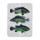 Recherche de poissons magnets Fleurs