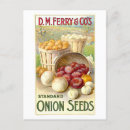Recherche de oignons cartes postales Vintage