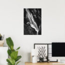 Recherche de cascade noire posters Blanc