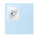 Recherche de bichon frisé Pour tous