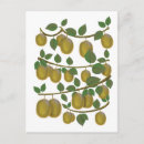 Zoek naar kiwi briefkaarten Fruit