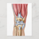 Recherche de ligament cartes postales Muscles humains