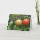 Recherche de tomates vœux cartes Fruits