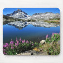 Recherche de sierra tapis souris Photographie