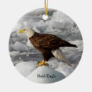 Zoek naar eagle ornamenten Vogel