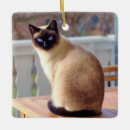 Zoek naar siamese katten ornamenten Gezelschapsdieren
