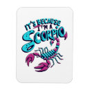 Recherche de zodiaque magnets Vintage