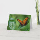 Recherche de papillon orange vœux cartes Insecte