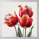 Recherche de tulipe rouge posters Fleurs rouges