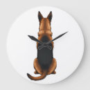 Recherche de chiot berger allemand horloges Loup