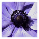 Zoek naar lila bloemen posters Natuur