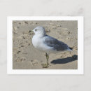 Recherche de factures cartes postales Oiseau
